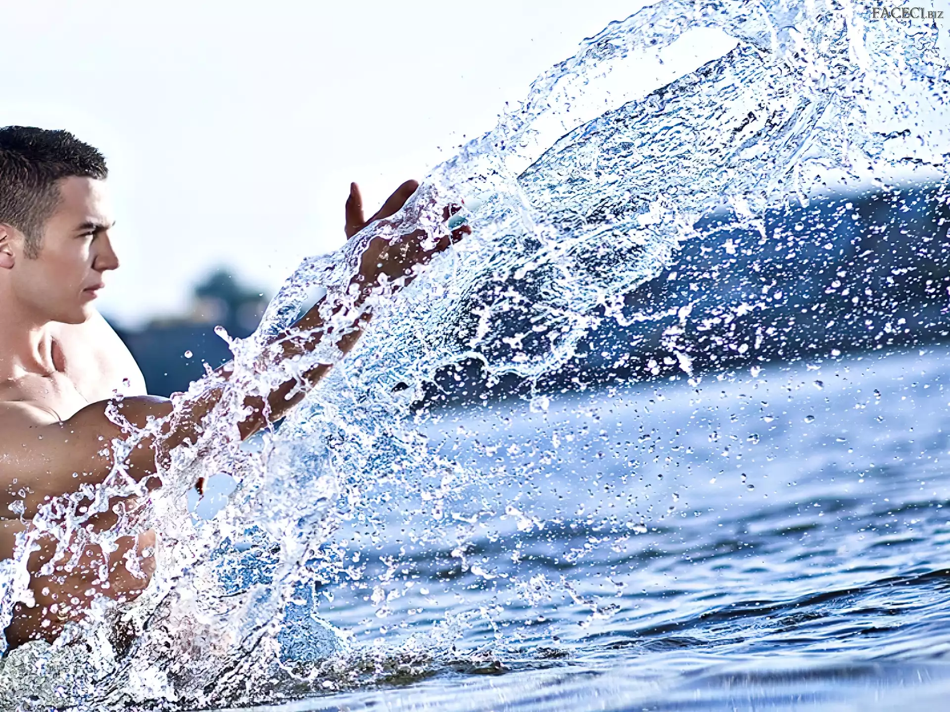 Woda, Vasa Nestorovic